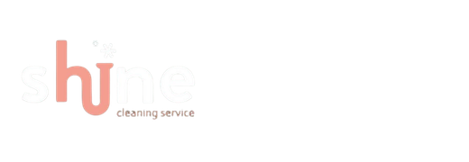 shine cleaning service